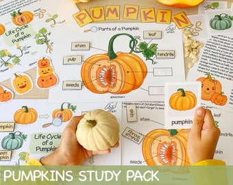 Pumpkin Unit Study Homeschool Learning Materials Charlotte Mason Educational Activities for Preschool Fall Autumn Classroom Decor