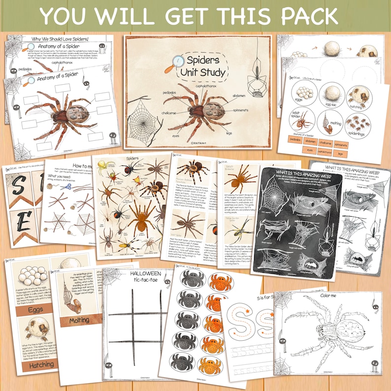 May include: A printable pack of educational activities for kids about spiders. The pack includes coloring pages, a spider anatomy diagram, a spider life cycle chart, a spider web maze, and a spider-themed tic-tac-toe game.