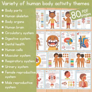 May include: A set of 80 printable educational posters for children about the human body. The posters feature colorful illustrations and diagrams of different body systems, including the skeleton, organs, brain, circulatory system, digestive system, dental health, cells, muscular system, respiratory system, urinary system, female reproductive system, and male reproductive system.