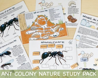 Ant Colony Nature Study Bundle Charlotte Mason Learning Materials Ant Life Cycle Activity for Kids Animal Habitats Preschool Printables