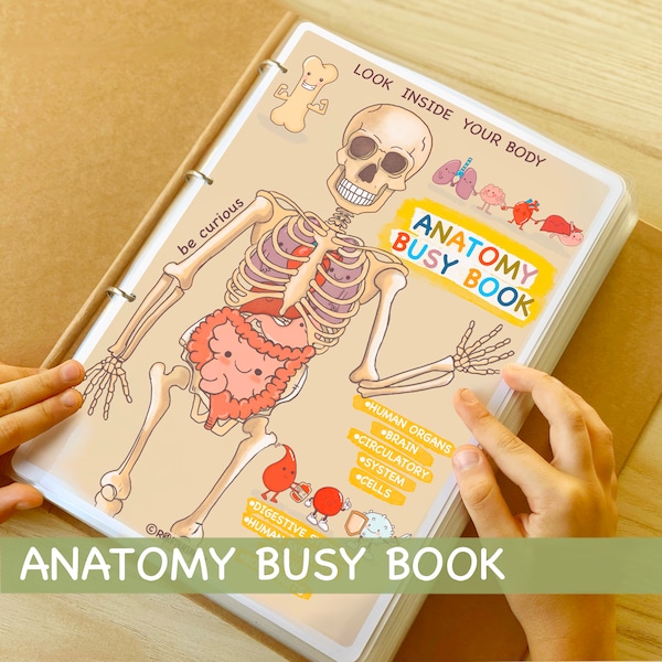 Human Anatomy Busy Book Printable Preschool Worksheets Homeschool Resources Anatomy Preschool Curriculum Learning Toddler Activities