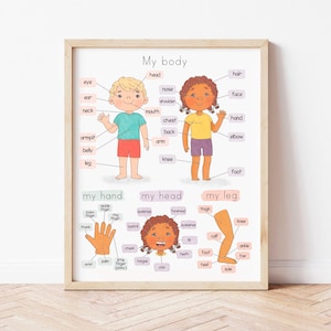 Menschlicher Körper Poster für Kleinkinder Körperteile Lernposter für Kinder Anatomisches Poster Montessori Homeschool lernen Vorschule Printables