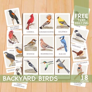 Toddler Flash Cards, Backyard Birds Printable Flashcards, Homeschool Montessori Materials