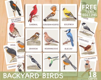 Toddler Flash Cards, Backyard Birds Printable Flashcards, Homeschool Montessori Materials