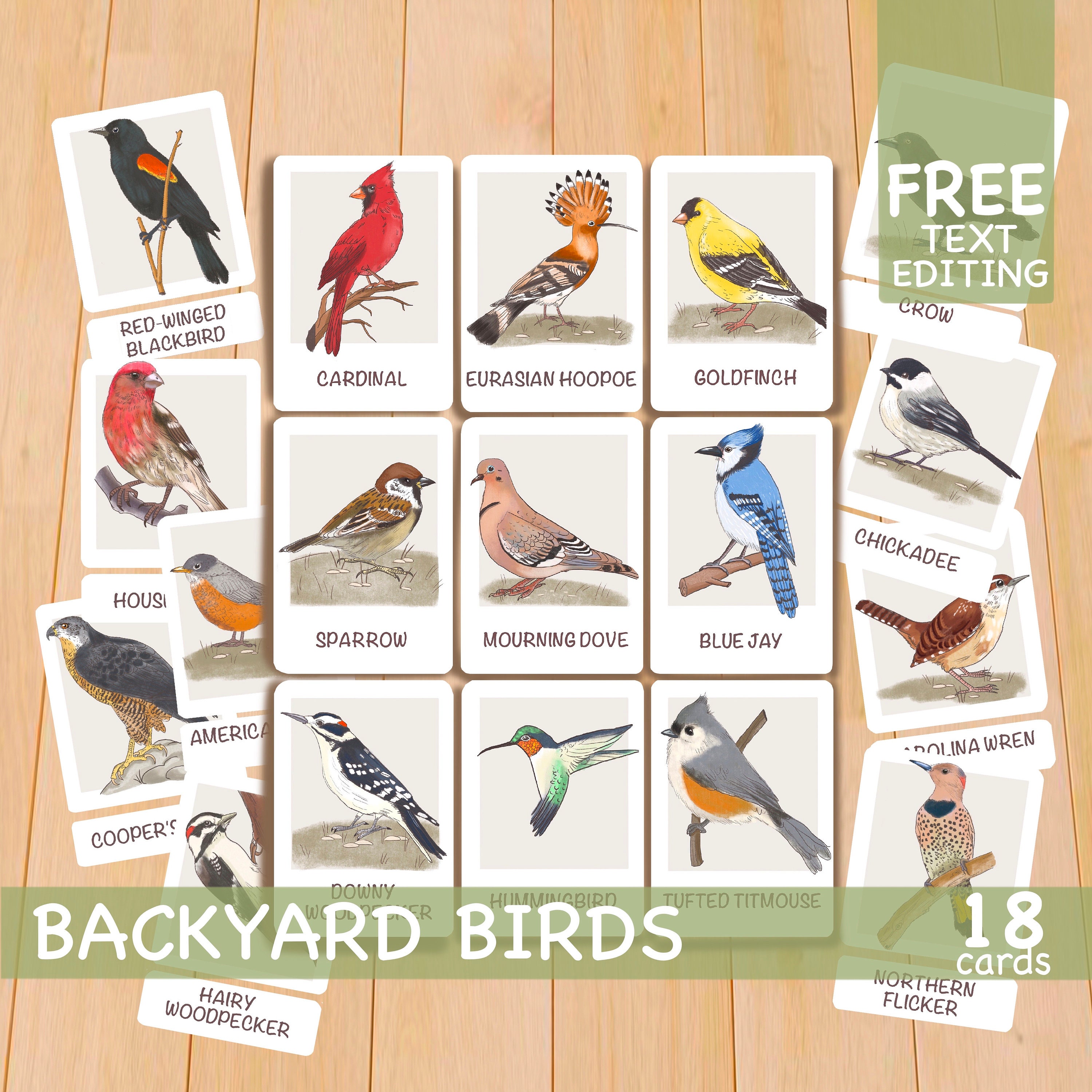 Toddler Flash Cards, Backyard Birds Printable Flashcards, Homeschool Montessori Materials