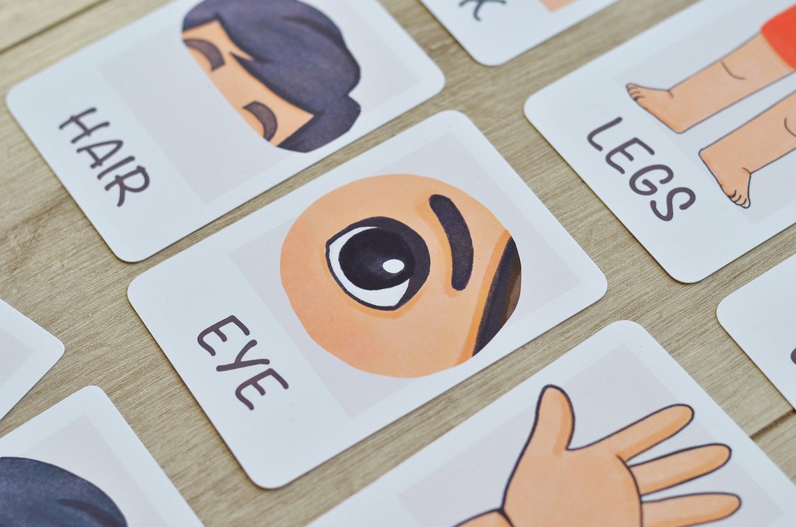 Toddler Flash Cards Body Parts Flashcards Homeschool Etsy