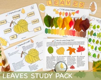 Leaves Unit Study Bundle Anatomy of a Leaf Charlotte Mason Nature Study Learning Activities for Preschool Fall Leaves Educational Materials