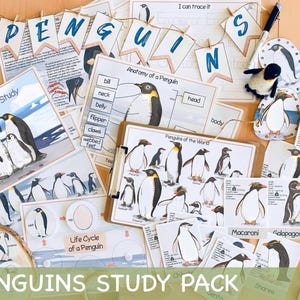 Pinguïns Eenheidsstudie Winter Homeschool-leermateriaal Charlotte Mason Studiebundel Voorschoolse werkbladen Kerst Peuteractiviteiten afbeelding 1
