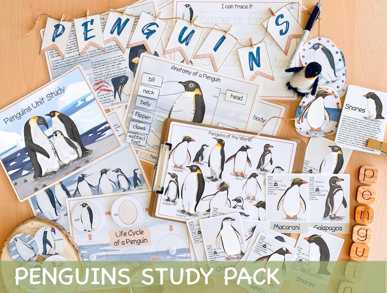 Pinguïns Eenheidsstudie Winter Homeschool-leermateriaal Charlotte Mason Studiebundel Voorschoolse werkbladen Kerst Peuteractiviteiten afbeelding 1