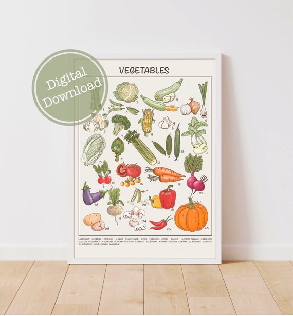 Vegetable Poster Downloadable Prints Printable Educational - Etsy