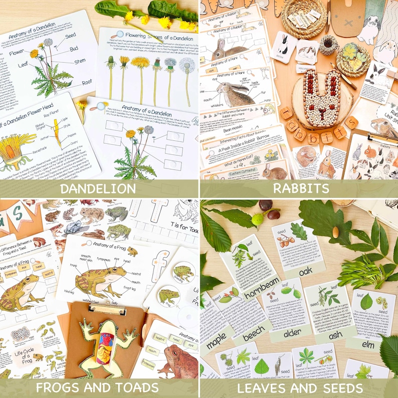 May include: A set of educational resources for children featuring colorful illustrations and text about dandelions, rabbits, frogs, toads, and leaves and seeds. The resources include worksheets, flashcards, and other learning materials.