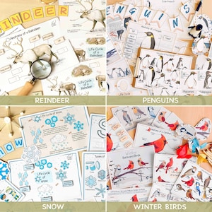 May include: A set of printable educational resources for children about winter animals. The set includes activities about reindeer, penguins, snow, and winter birds. The resources feature colorful illustrations and diagrams.