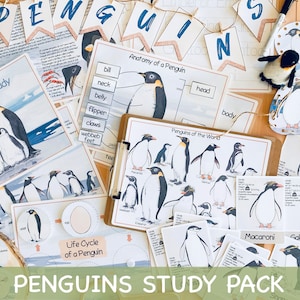 Penguins Unit Study Winter Homeschool Learning Materials Charlotte Mason Study Bundle Preschool Worksheets Christmas Toddler Activities
