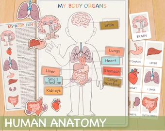 Human Anatomy Activity, Homeschool Montessori Materials, Printable Preschool Curriculum