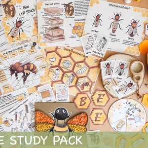 Honey Bee Unit Study Homeschool Summer Activities Bee Life Cycle Spinner & Anatomy, Nature Study Journal Honey Bee Poster and Flash Cards