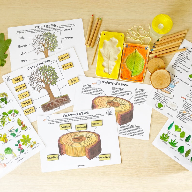 Printable Nature Journal Homeschool Learning Materials Etsy