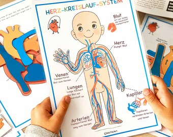 Liquidation! Cahier D'Anatomie Étiquette Laboratoire Termes Cahier D' Anatomie Illustrations Anatomie Humaine Cahier 100+ Pages D'Anatomie En Couleur Pour Apprentissage De L'Anatomie Et De La Physiologie, Bleu