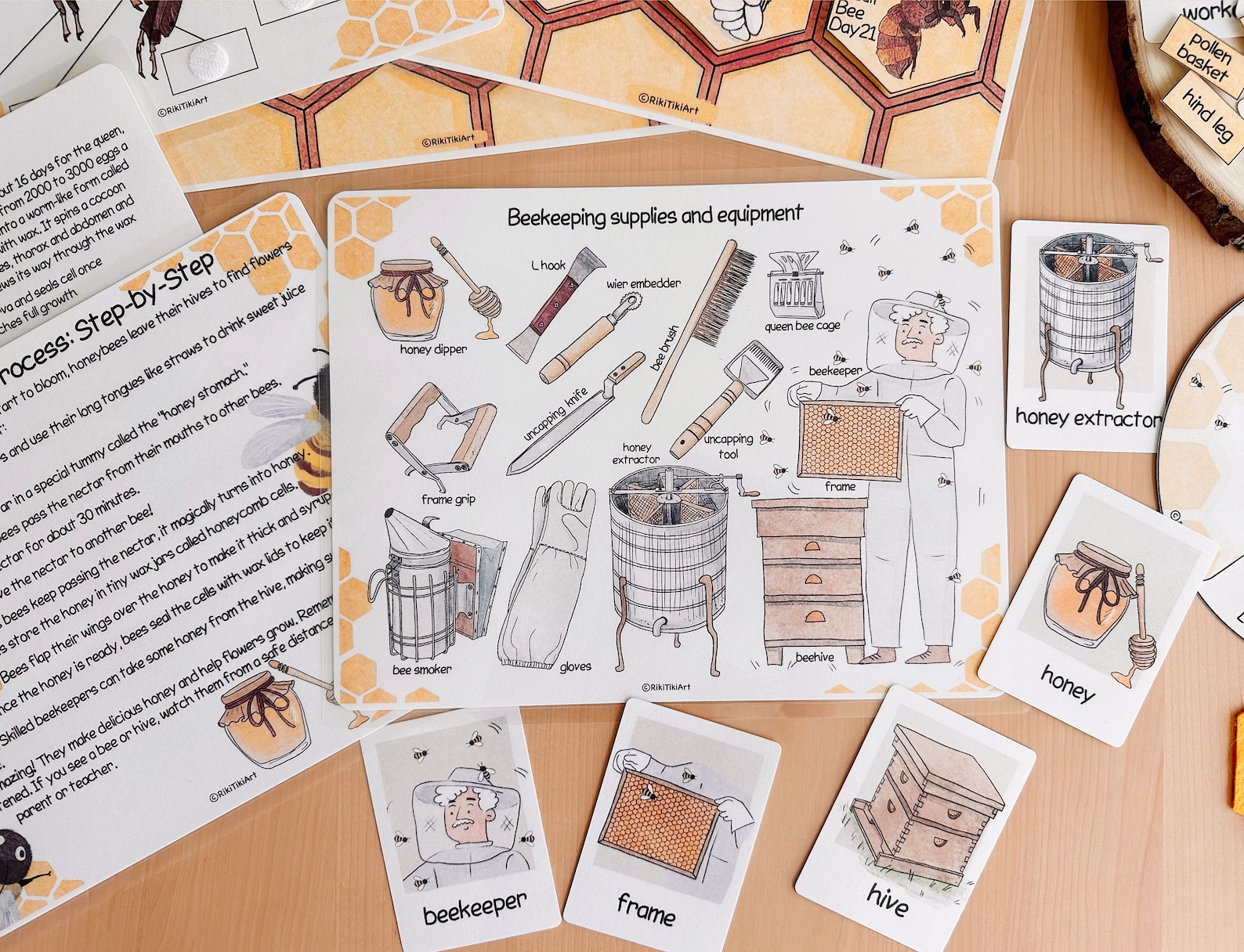 Honey Bee Unit Study Homeschool Summer Activities Bee Life Cycle ...