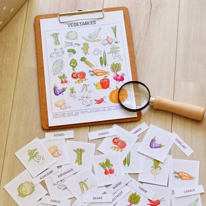 May include: A set of 26 illustrated flashcards featuring different vegetables, including a potato, tomato, eggplant, carrot, and turnip. The cards are printed on white paper and have a colorful, hand-drawn style.