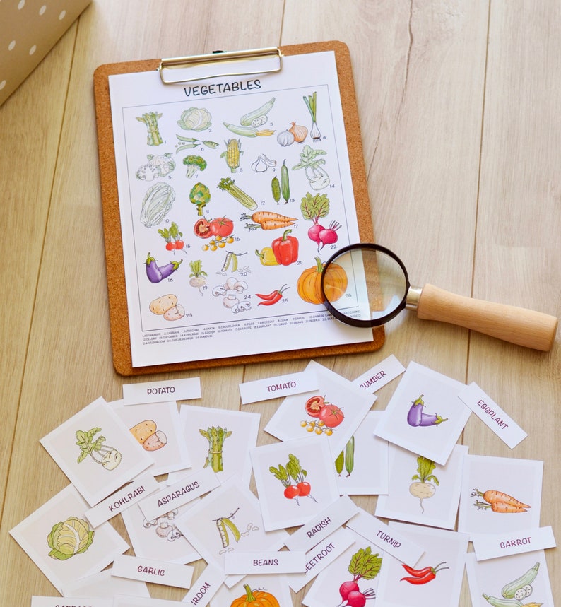 May include: A set of 26 illustrated flashcards featuring different vegetables, including a potato, tomato, eggplant, carrot, and turnip. The cards are printed on white paper and have a colorful, hand-drawn style.
