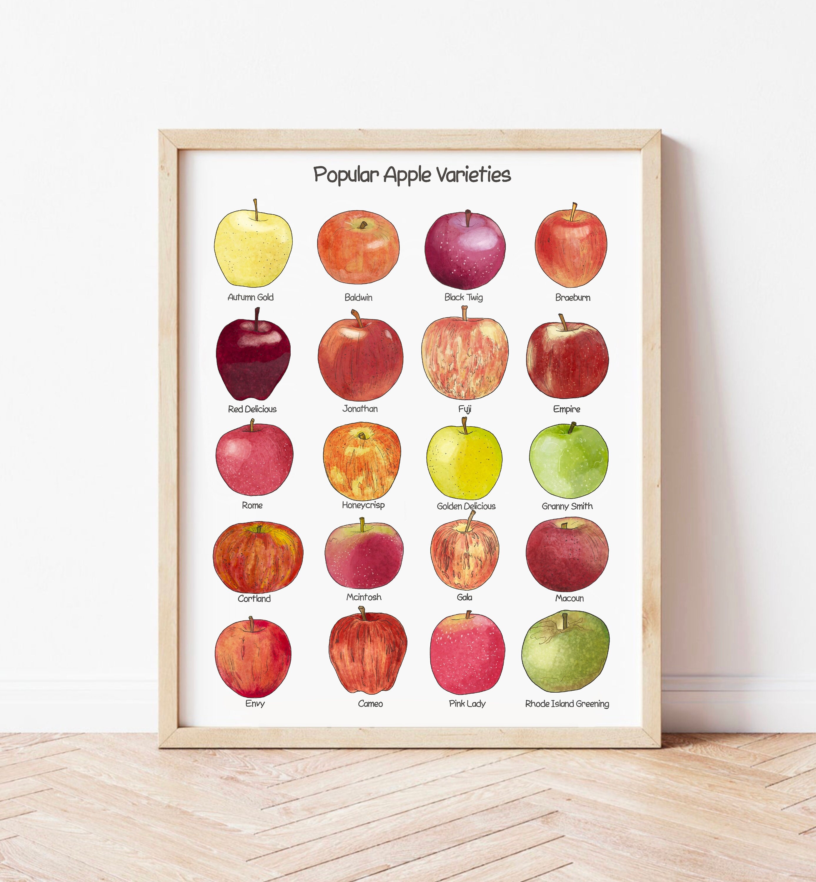 Apple Poster Educational Wall Art Homeschool Classroom Decor Apple