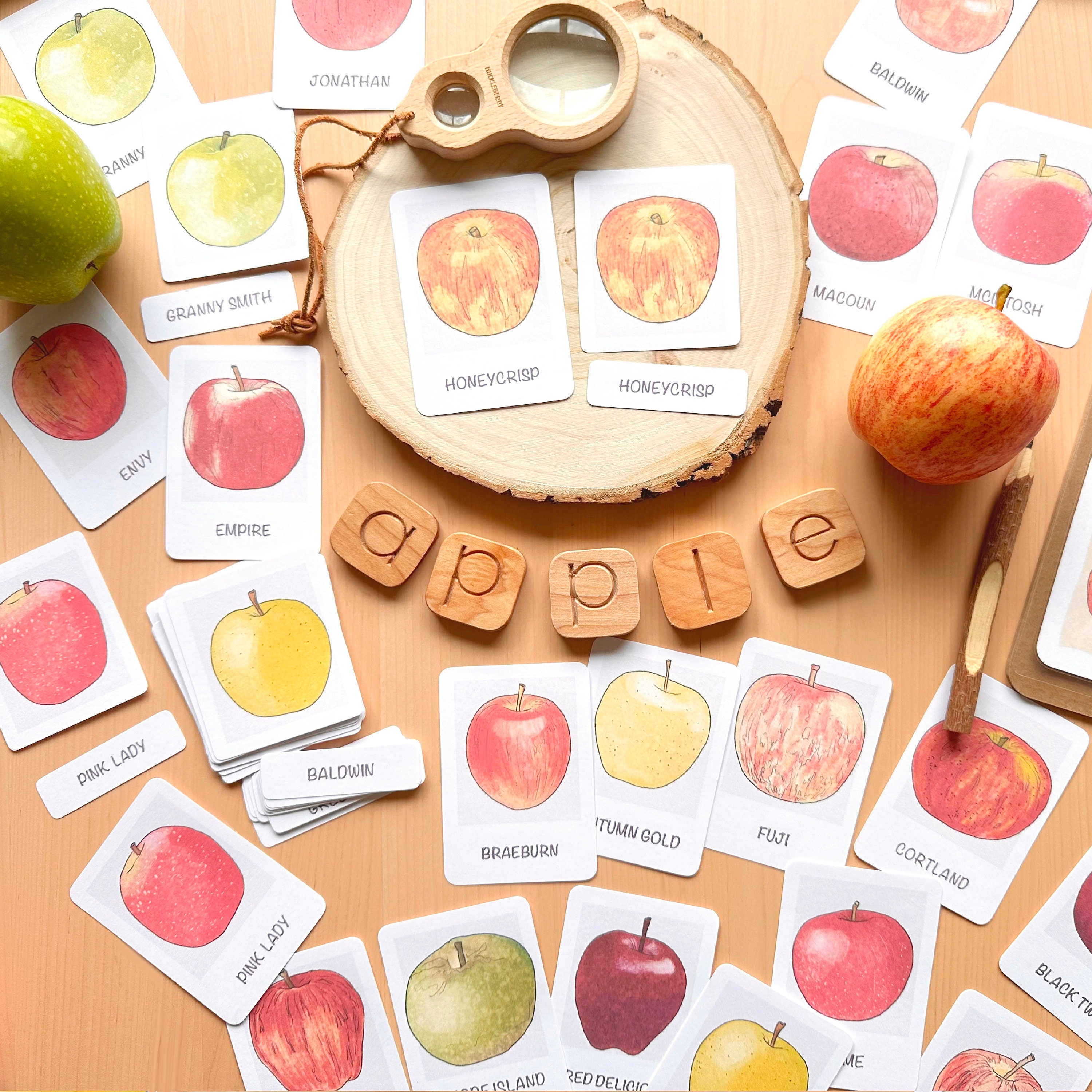 Apple Flash Cards Montessori Printable Homeschool Resources Educational ...