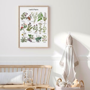 K&ouml;nnte beinhalten: Ein gerahmtes Bildungsplakat mit dem Titel "N&uuml;tzliche Pflanzen", das Illustrationen verschiedener Pflanzen mit ihren Namen unter jedem Bild zeigt. Das Plakat h&auml;ngt an einer wei&szlig;en Wand &uuml;ber einer Holzbank mit einem wei&szlig;en Kissen.