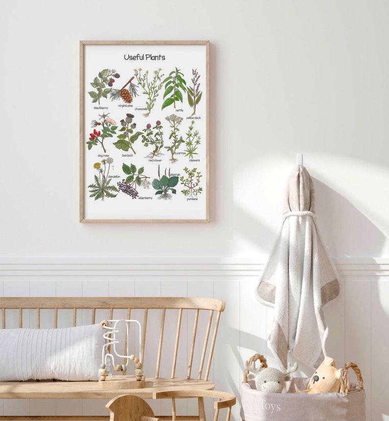 K&ouml;nnte beinhalten: Ein gerahmtes Bildungsplakat mit dem Titel "N&uuml;tzliche Pflanzen", das Illustrationen verschiedener Pflanzen mit ihren Namen unter jedem Bild zeigt. Das Plakat h&auml;ngt an einer wei&szlig;en Wand &uuml;ber einer Holzbank mit einem wei&szlig;en Kissen.