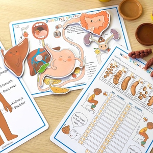 May include: A printable educational chart for kids about the digestive system. The chart features a colorful illustration of the digestive system with labels for each part. The chart also includes a chart for tracking bowel movements.