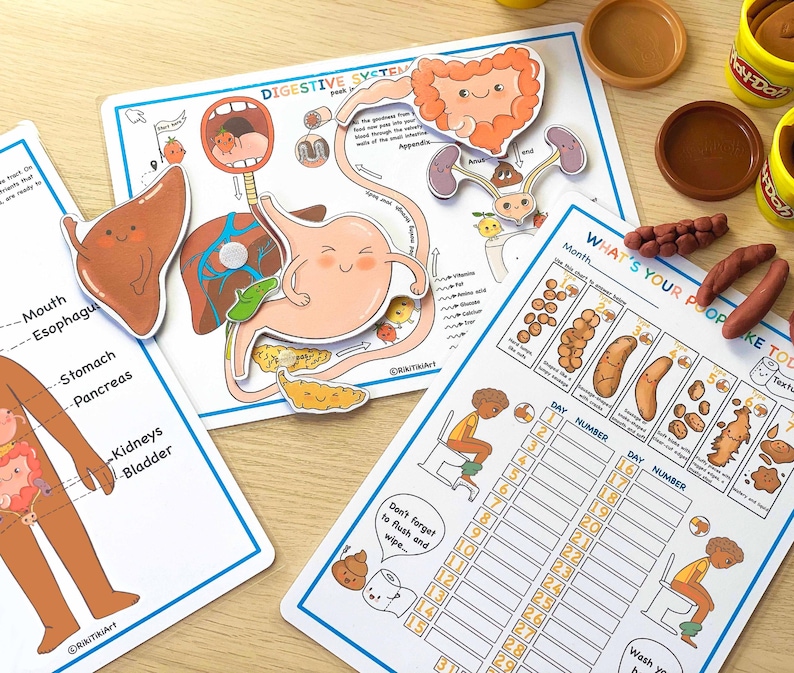 May include: A printable educational chart for kids about the digestive system. The chart features a colorful illustration of the digestive system with labels for each part. The chart also includes a chart for tracking bowel movements.