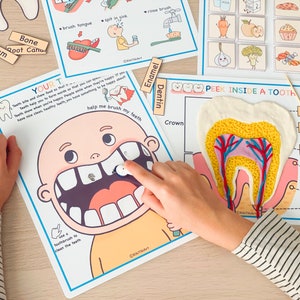 Voorschoolse peuteractiviteiten Tandheelkundige gezondheid, Afdrukbaar homeschoolcurriculum, Menselijke anatomieactiviteit afbeelding 4