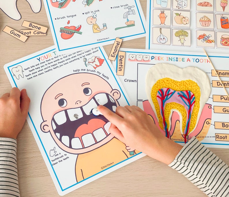 Voorschoolse peuteractiviteiten Tandheelkundige gezondheid, Afdrukbaar homeschoolcurriculum, Menselijke anatomieactiviteit afbeelding 4