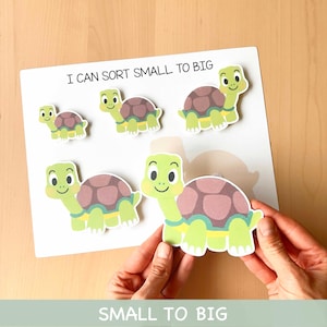 Könnte beinhalten: Eine weiße Tafel mit dem Text "I CAN SORT SMALL TO BIG" und "SMALL TO BIG" unten. Die Tafel hat mehrere Cartoon-Schildkröten-Ausschnitte in verschiedenen Größen. Die Schildkröten sind grün, braun und gelb.