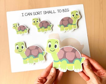 May include: A white board with the text "I CAN SORT SMALL TO BIG" and "SMALL TO BIG" at the bottom. The board has several cartoon turtle cutouts in varying sizes. The turtles are green, brown, and yellow.