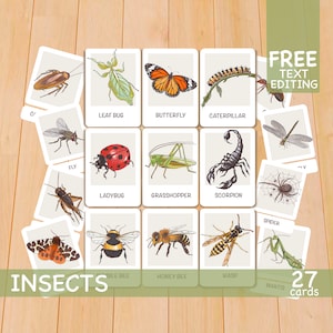 Insects Flashcards, Printable Montessori Materials, Preschool Toddler Flash Cards
