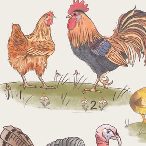 May include: A watercolour illustration of a cockerel and a hen standing in a field of green grass and white flowers. The cockerel is brown, black, and blue with a red comb and wattle. The hen is brown and orange. The number "2" is written in the bottom right corner of the image.