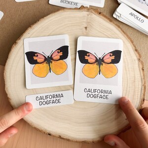 Puede incluir: Dos tarjetas y una etiqueta con una ilustraci&oacute;n de la mariposa California Dogface. La mariposa tiene alas negras y rosas con un cuerpo amarillo. La etiqueta dice "CALIFORNIA DOGFACE". Las tarjetas est&aacute;n sobre una superficie de madera.