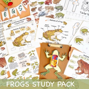 Estudio de la unidad de la rana Actividades de verano de educación en el hogar Paquete de aprendizaje del ciclo de vida y anatomía de la rana y el sapo Diario de estudio de la naturaleza Educación científica en el hogar