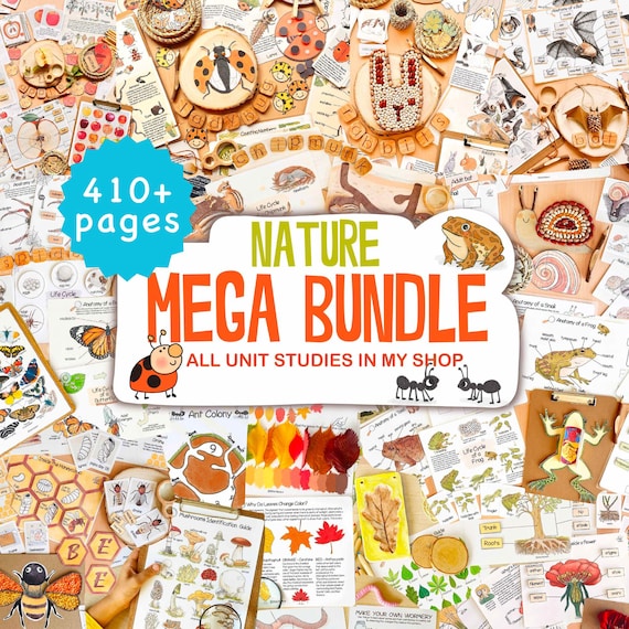 27 Unit Studies MEGA BUNDLE Homeschool Printable Charlotte Mason Toddler Busy Book Toddler Activities Nature Study Preschool Curriculum