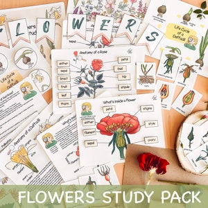 Flowers Unit Study Charlotte Mason Spring Printables Life Cycle of a Flower Preschool Nature Study Bundle Homeschool Activity for Toddlers
