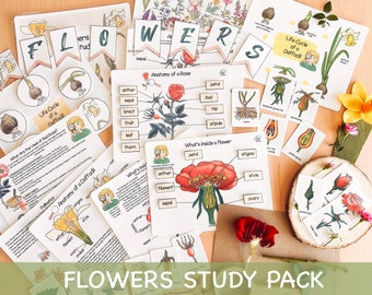 Flowers Unit Study Charlotte Mason Spring Printables Life Cycle of a Flower Preschool Nature Study Bundle Homeschool Activity for Toddlers