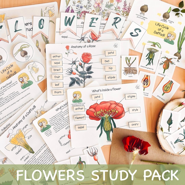 Ensemble d'études sur les fleurs, Charlotte Mason, imprimables printanières sur le cycle de vie d'une fleur pour les enfants d'âge préscolaire, activité d'école à la maison pour les tout-petits