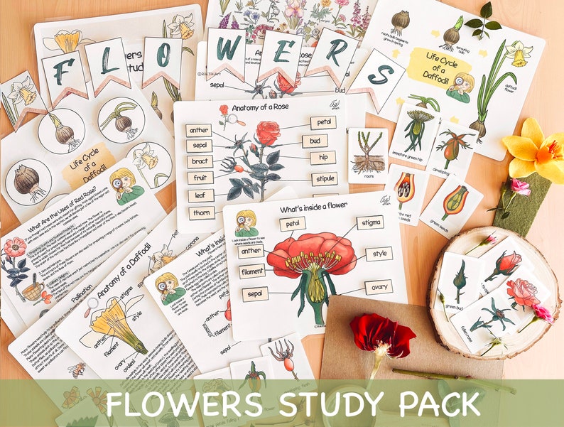 Flowers Unit Study Charlotte Mason Spring Printables Life Cycle of a Flower Preschool Nature Study Bundle Homeschool Activity for Toddlers image 1