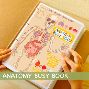 Libro di attività di anatomia umana per bambini, fogli di lavoro prescolari stampabili, risorse per l'istruzione parentale, curriculum prescolare di anatomia, attività di apprendimento per bambini piccoli