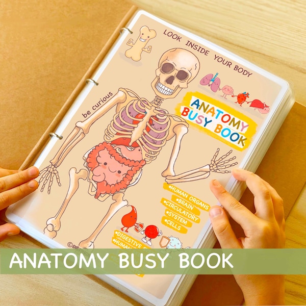 Human Anatomy Busy Book for Kids Printable Preschool Worksheets Homeschool Resources Anatomy Preschool Curriculum Learning Toddler Activity