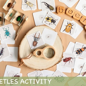 Käfer Lernaktivität Lupe Passendes Spiel Homeschool Aktivitäten für Kinder Montessori Frühling Druckbare Ressourcen Insekten Karten