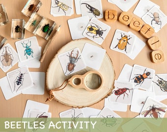 Beetles Study Activity Magnifying Glass Matching Game Homeschool Activities for Kids Montessori Spring Printable Resources Insects Cards