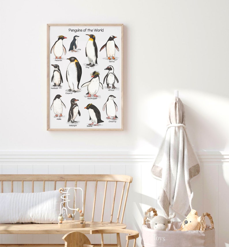 May include: A framed poster with the title "Penguins of the World" featuring illustrations of different penguin species with their names listed below each illustration.