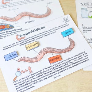 Worms Unit Study Charlotte Mason Printable Resources Homeschool Learning Bundle Nature Studies Preschool Curriculum Educational Activities image 4