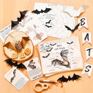 May include: A collection of bat-themed educational materials. Includes paper bats, a pinecone bat craft, flashcards, and a "Bats Unit Study" booklet. Wooden letters spell "bat". Black paper bats and banner letters spell "BATS".